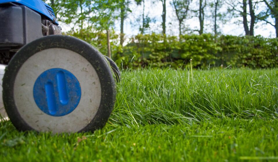 lawnmower, gardening, lawn-mower, lawn-mower chassis, lawn, grass, cutting, gardener, equipment, hdr, summer, nature, work, hobby, garden, machine, backyard, mower, maintenance, lawn mower, yard, green work, green gardening