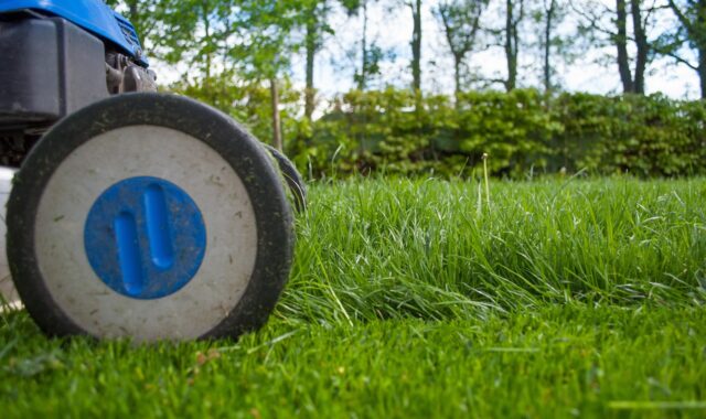 lawnmower, gardening, lawn-mower, lawn-mower chassis, lawn, grass, cutting, gardener, equipment, hdr, summer, nature, work, hobby, garden, machine, backyard, mower, maintenance, lawn mower, yard, green work, green gardening