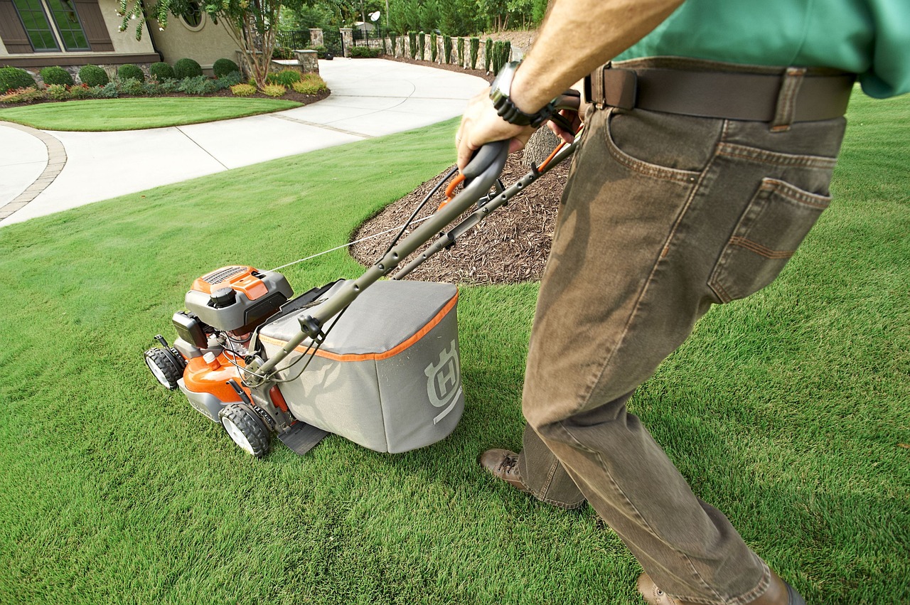 garden, garden shop, grass, nature, home garden, lawn, lawn mower, lawnmower, green home, green shopping, green grass, green garden, green shop