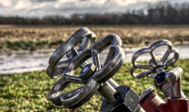 fire hose, valve, nature, distributor, faucet, clear, accessories, adapter, connection, water pump, delete exercise, fire fighters, equipment, metal, pressure, fire engine, wheel, grass, red, hdr, high dynamic range, contrast, water