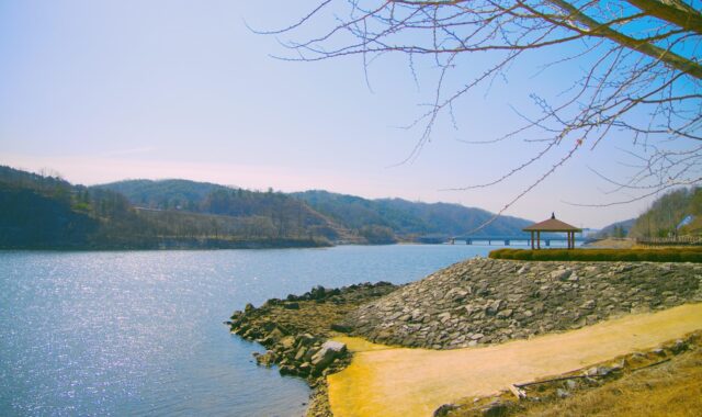 lake, river, trees, wolyeong bridge, architecture, anton, korea, nature, landscape