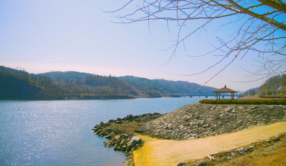 lake, river, trees, wolyeong bridge, architecture, anton, korea, nature, landscape