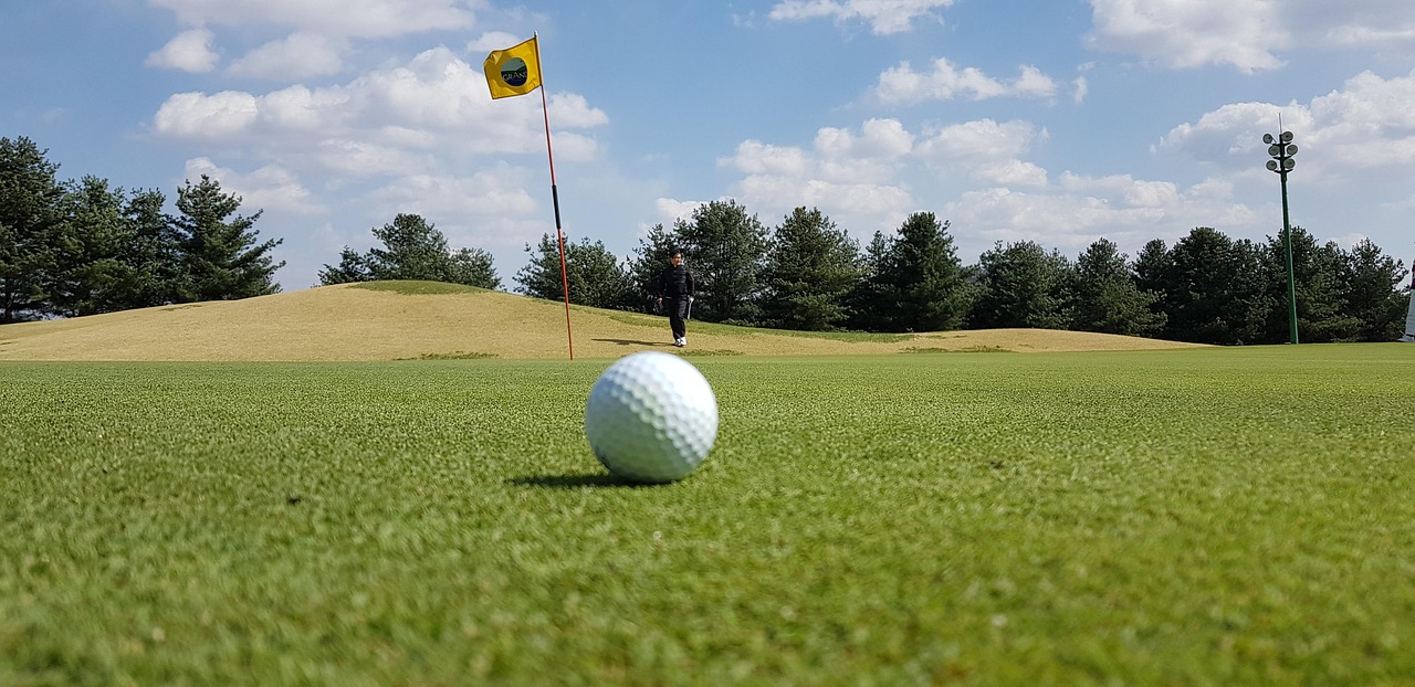 golf, golfers, tea, if other, process, golf, golf, golf, golf, golf