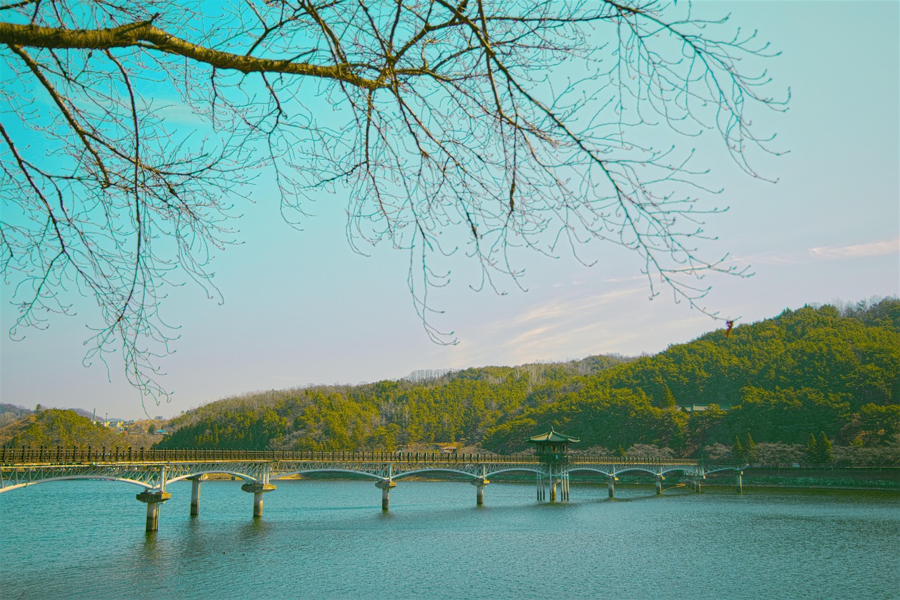 lake, river, trees, wolyeong bridge, architecture, anton, korea, nature, landscape