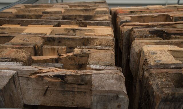 euro pallets, transport, wood, wooden pallets, logistics, stacked up, storage, pallet stack, wooden pallets, wooden pallets, wooden pallets, wooden pallets, wooden pallets, logistics