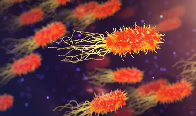 bacteria, microbiology, organism, biology, science, medicine, healthcare, microscopic, disease, genetic, bacteria, bacteria, bacteria, bacteria, bacteria