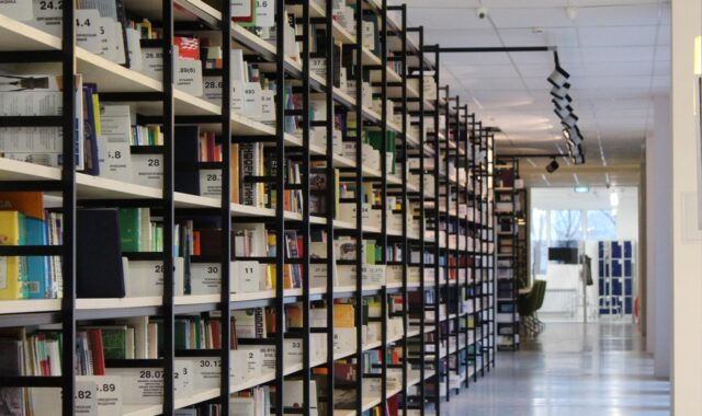 library, books, rack, shelves, reading, the culture, the corridor, classic, literature, education, development, archive, textbook, knowledge, storage, fund, library, library, library, archive, archive, archive, archive, storage, storage, storage, storage, storage