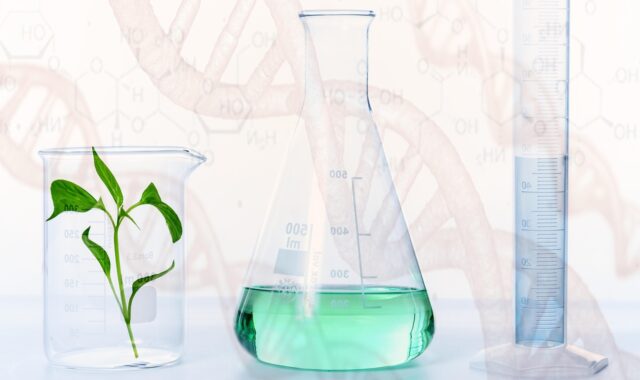 experiment, research, laboratory, science, plant, gmo, chemistry, nature, biology, vial, chemicals, beaker, graduated cylinder, glasswares, lab