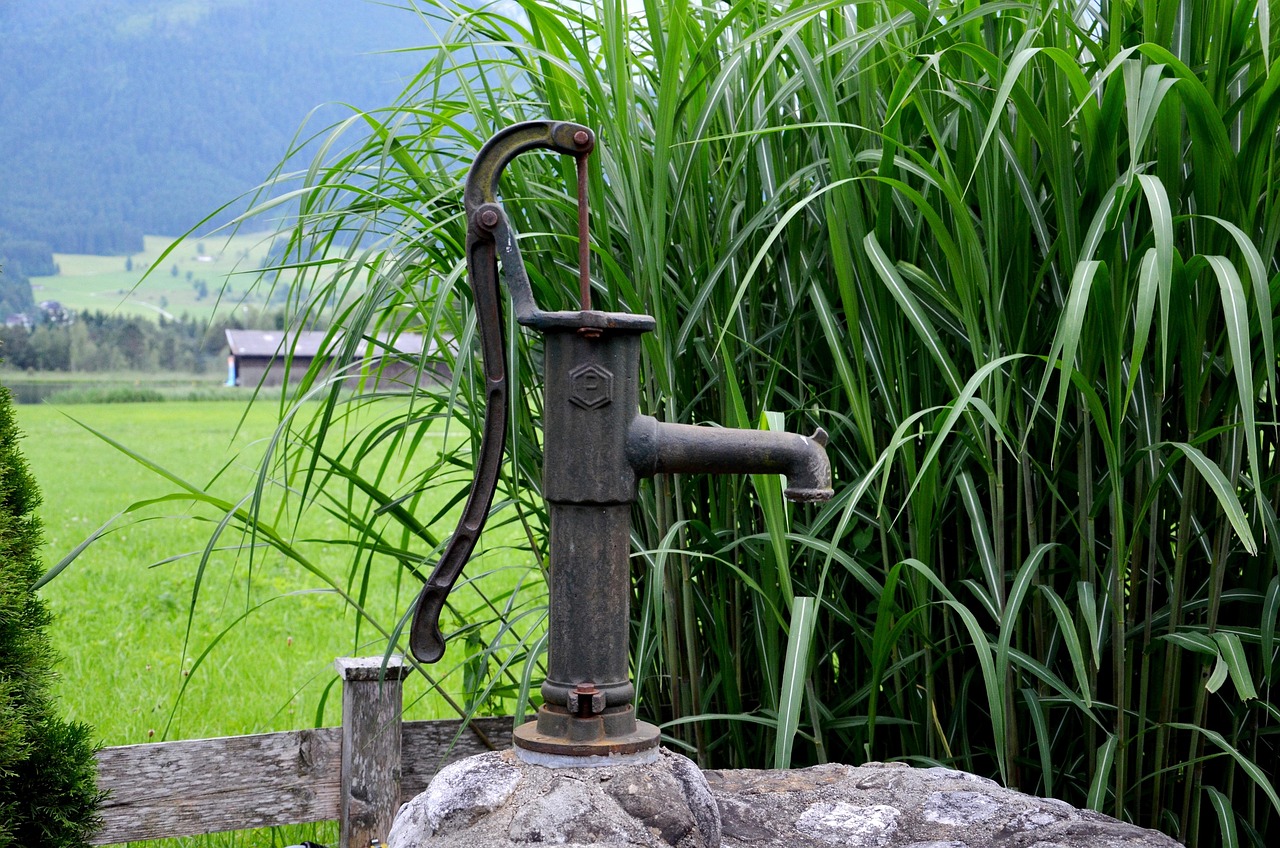 fountain, pump, nature, water, reed, drinking water, cock pump, antique, water pump, irrigation, hand wells
