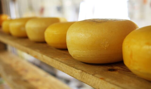 cheese, wheels, wheels of cheese, dairy, dairy products, wooden shelves, eat, food, food photography, cheese, cheese, cheese, cheese, cheese