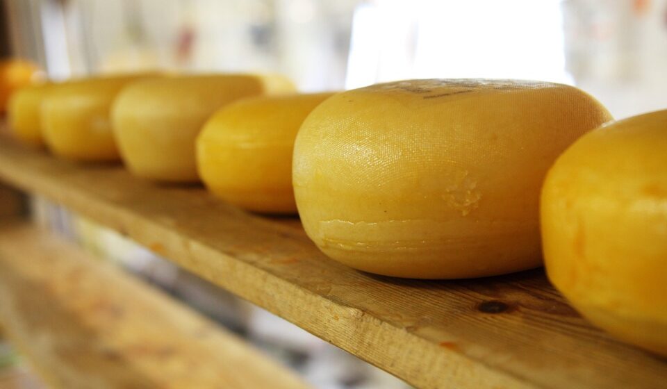 cheese, wheels, wheels of cheese, dairy, dairy products, wooden shelves, eat, food, food photography, cheese, cheese, cheese, cheese, cheese
